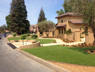 Artificial Grass Photos: Synthetic Pet Turf San Joaquin Hills California Landscape, Lawns