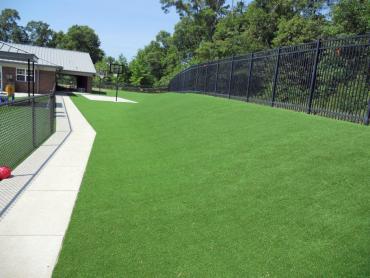 Artificial Grass Photos: Artificial Pet Grass Piru California Landscape, Lawns