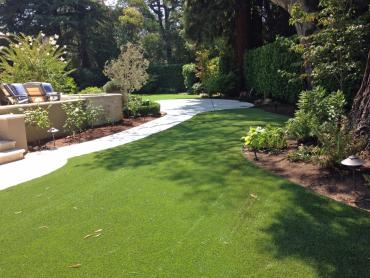 Artificial Grass Photos: Fake Pet Turf Norco California Landscape