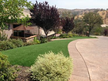 Artificial Grass Photos: Fake Pet Grass Wrightwood California Landscape, Lawns