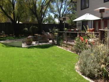 Artificial Grass Photos: Artificial Pet Grass Casa Conejo California Landscape