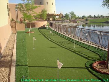 Synthetic Pet Grass Huntington Park California Landscape artificial grass