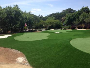 Artificial Grass Photos: Fake Pet Grass Lake Forest California Lawns