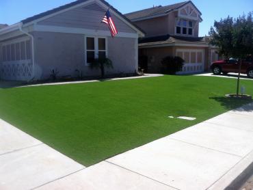 Artificial Grass Photos: Artificial Pet Grass Pinon Hills California Landscape, Lawns