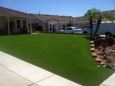 Artificial Grass Photos: Synthetic Pet Turf Home Gardens California Back and Front Yard