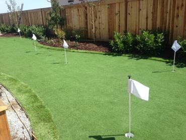 Artificial Grass Photos: Artificial Pet Turf Portola Hills California Landscape