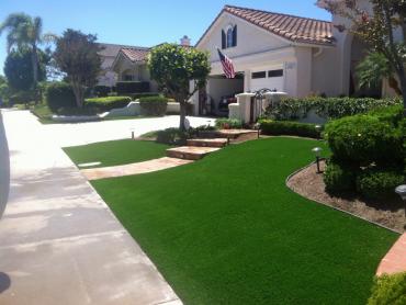 Artificial Grass Photos: Synthetic Pet Grass El Cerrito California Back and Front Yard