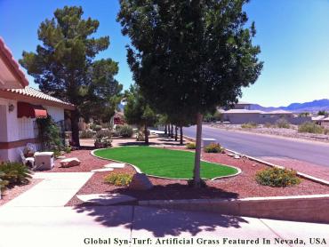 Artificial Grass Photos: Synthetic Pet Turf Maywood California Landscape