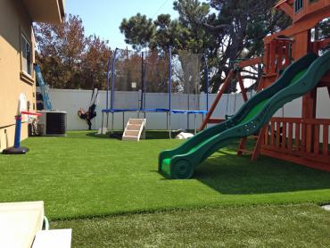 Artificial Grass Photos: Fake Pet Turf Laguna Beach California Landscape