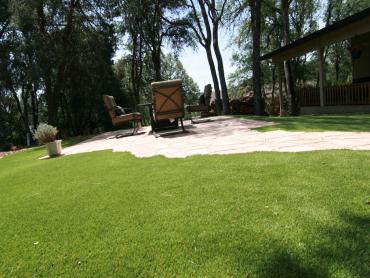 Artificial Grass Photos: Artificial Pet Turf Lytle Creek California Landscape, Lawns