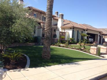 Artificial Grass Photos: Artificial Pet Grass Mission Viejo California Lawns