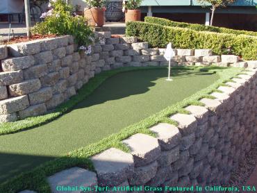 Fake Pet Turf Florence-Graham California Landscape artificial grass