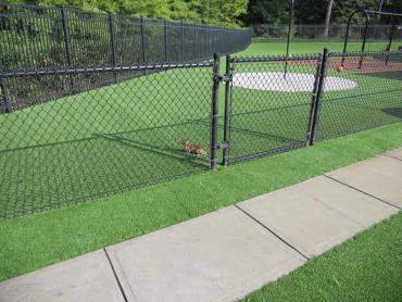 Artificial Grass Photos: Artificial Pet Turf Lake Los Angeles California Landscape