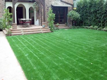 Artificial Grass Photos: Fake Pet Grass Trabuco Canyon California Back and Front Yard