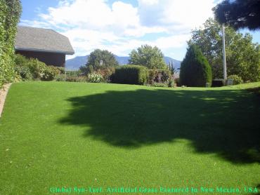 Artificial Grass Photos: Fake Pet Turf Walnut Park California Back and Front Yard