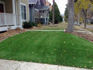 Artificial Grass Photos: Synthetic Pet Turf Laguna Niguel California Back and Front Yard