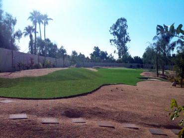 Artificial Grass Photos: Fake Pet Grass Rubidoux California Back and Front Yard