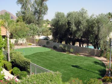 Artificial Grass Photos: Artificial Pet Turf Ladera Ranch California Lawns