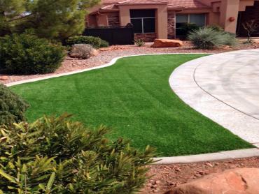 Artificial Grass Photos: Artificial Pet Turf Bloomington California Landscape, Lawns