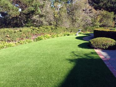 Artificial Grass Photos: Synthetic Pet Grass Avalon California Lawns