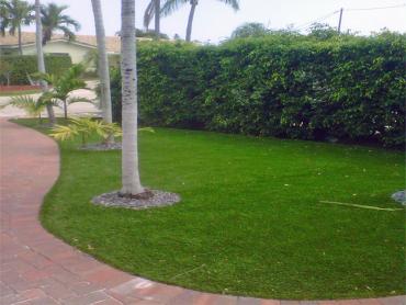 Artificial Grass Photos: Artificial Pet Turf Rialto California Landscape