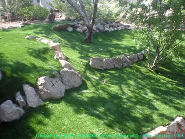 Artificial Pet Turf Commerce California Lawns artificial grass