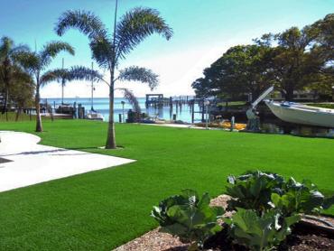 Artificial Grass Photos: Fake Pet Turf San Juan Capistrano California Landscape