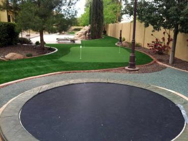 Artificial Grass Photos: Synthetic Pet Grass Oxnard California Lawns