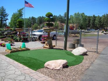 Artificial Grass Photos: Artificial Pet Grass Loma Linda California Landscape