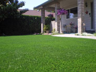 Artificial Grass Photos: Fake Pet Grass Crestline California Landscape