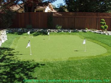 Synthetic Pet Grass Glendale California Landscape artificial grass