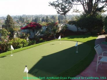 Fake Pet Turf South Pasadena California Landscape, Lawns artificial grass