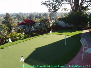 Artificial Grass Photos: Fake Pet Turf South Pasadena California Landscape, Lawns