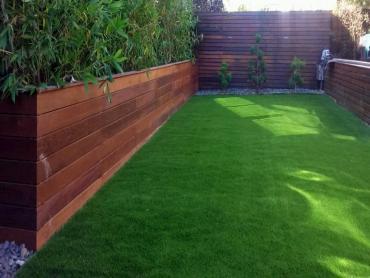 Artificial Grass Photos: Fake Pet Grass Mountain View Acres California Back and Front Yard