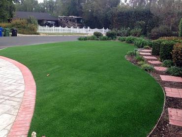 Artificial Grass Photos: Synthetic Pet Grass Adelanto California Back and Front Yard