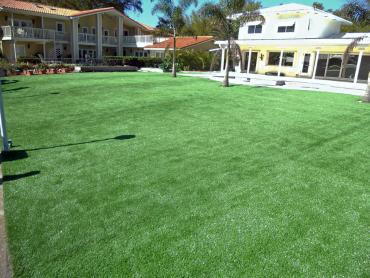 Artificial Grass Photos: Synthetic Pet Turf Redlands California Landscape, Lawns