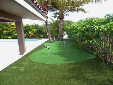 Artificial Grass Photos: Synthetic Pet Grass Perris California Landscape