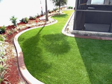 Artificial Grass Photos: Synthetic Pet Grass Canyon Lake California Landscape