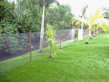 Artificial Grass Photos: Artificial Pet Grass Edwards Air Force Base California Back and Front Yard