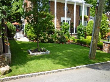 Artificial Grass Photos: Artificial Pet Turf Sedco Hills California Back and Front Yard