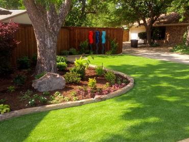 Artificial Grass Photos: Synthetic Pet Turf Quail Valley California Landscape