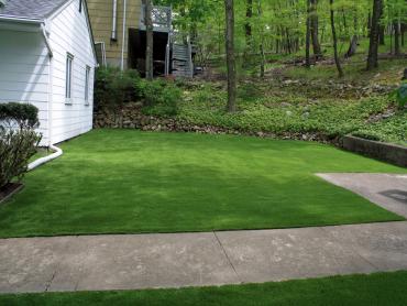 Artificial Grass Photos: Synthetic Pet Grass Ojai California Lawns