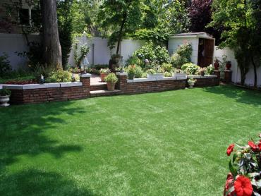 Artificial Grass Photos: Fake Pet Grass Mentone California Back and Front Yard