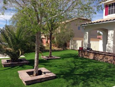 Artificial Grass Photos: Synthetic Pet Turf Wildomar California Lawns