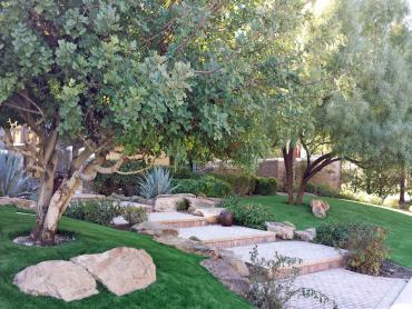 Artificial Grass Photos: Synthetic Pet Grass Romoland California Back and Front Yard