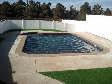 Artificial Grass Photos: Synthetic Pet Turf Lakeview California Landscape