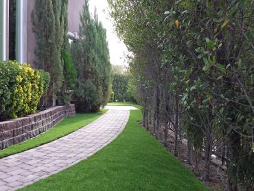 Artificial Grass Photos: Fake Pet Turf Frazier Park California Lawns