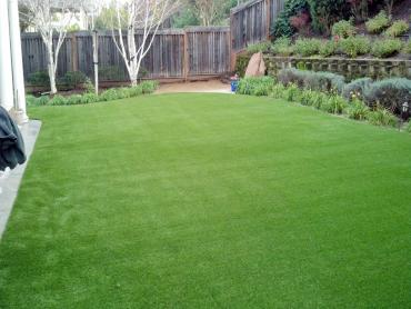 Artificial Grass Photos: Synthetic Pet Turf Lake of the Woods California Back and Front Yard