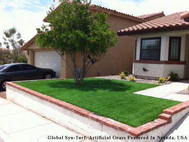 Artificial Grass Photos: Artificial Pet Turf Cudahy California Landscape