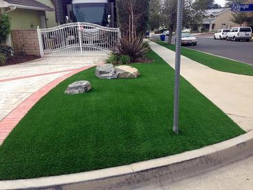 Artificial Grass Photos: Artificial Pet Grass Homeland California Back and Front Yard